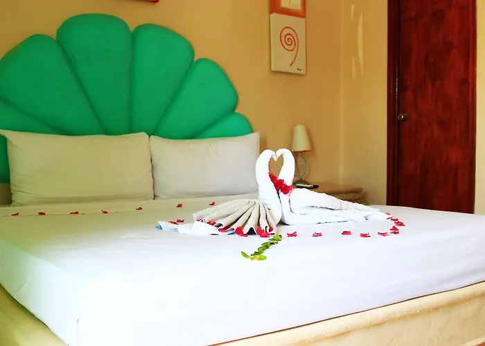 Balance (adults Only) 3*