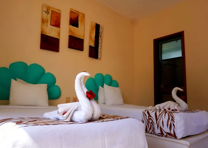 Balance (adults Only) 3* Playa del Carmen